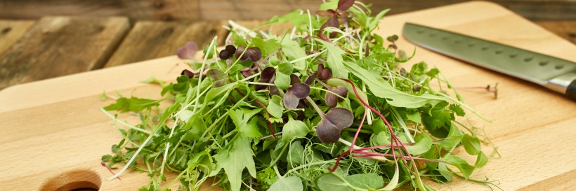 Baby_Leaf_website_2015